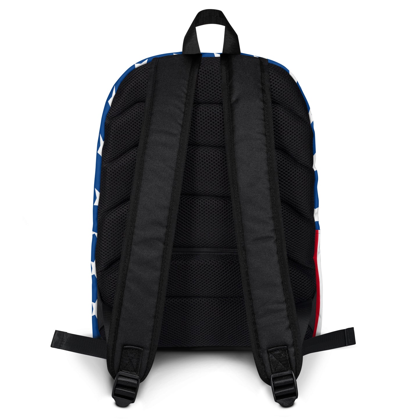 0906 Backpack, USA, 03