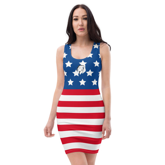 USA, 0401 Bodycon Dress, 03