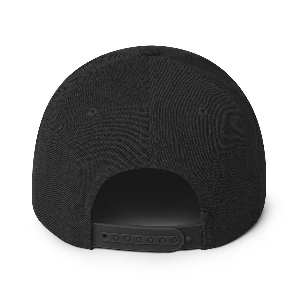 0803z Snapback Cap, Animal - Dolphin, 02