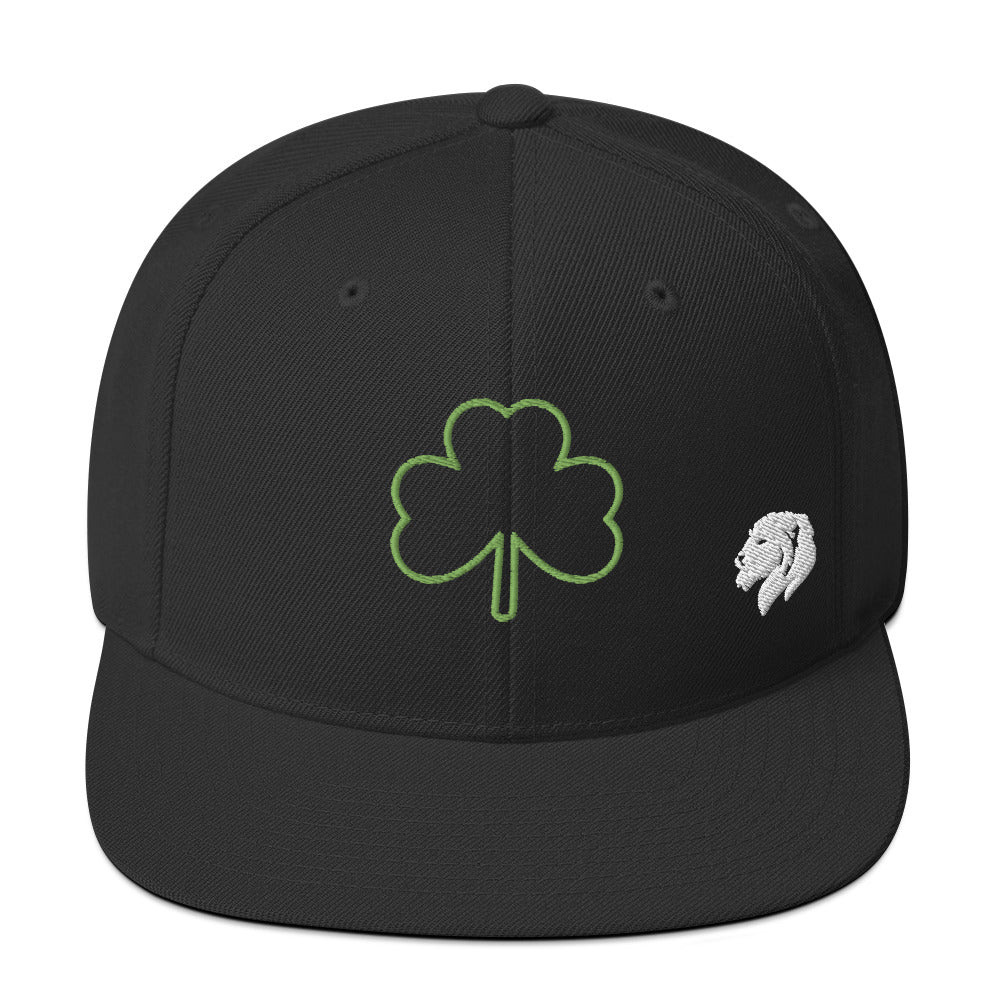 0803z Snapback Cap, Earth - Clover Shamrock Ireland, 02