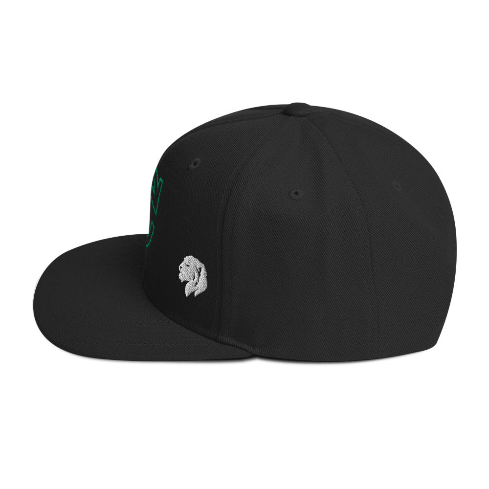 0803z Snapback Cap, Earth - Recycle, 02