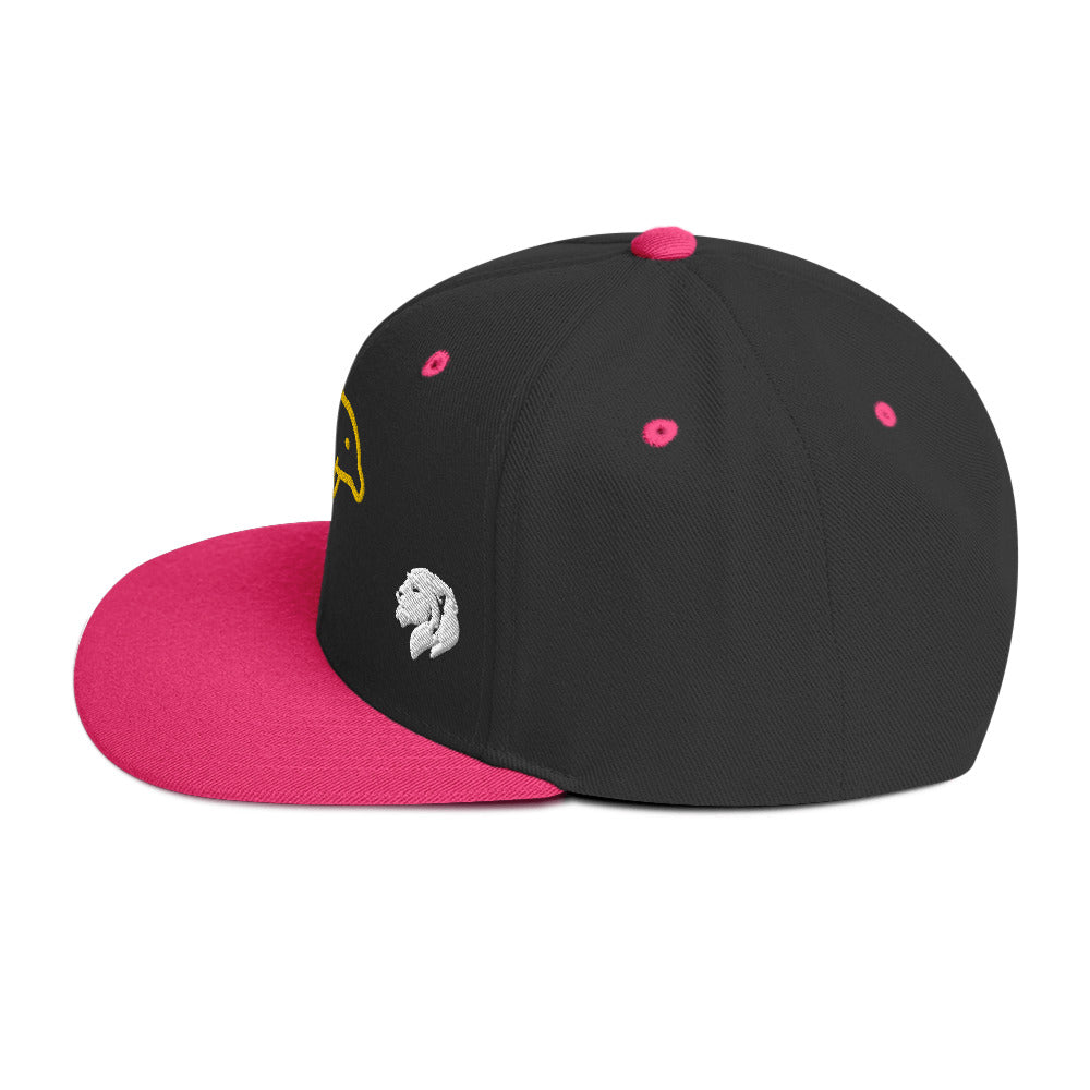 0803z Snapback Cap, Animal - Dolphin, 02