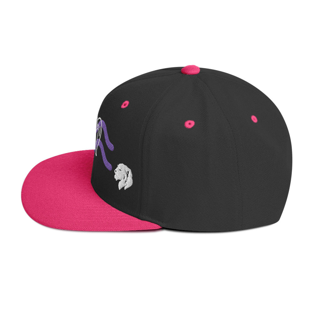 0803z Snapback Cap, Astrology Zodiac - Aquarius, 02