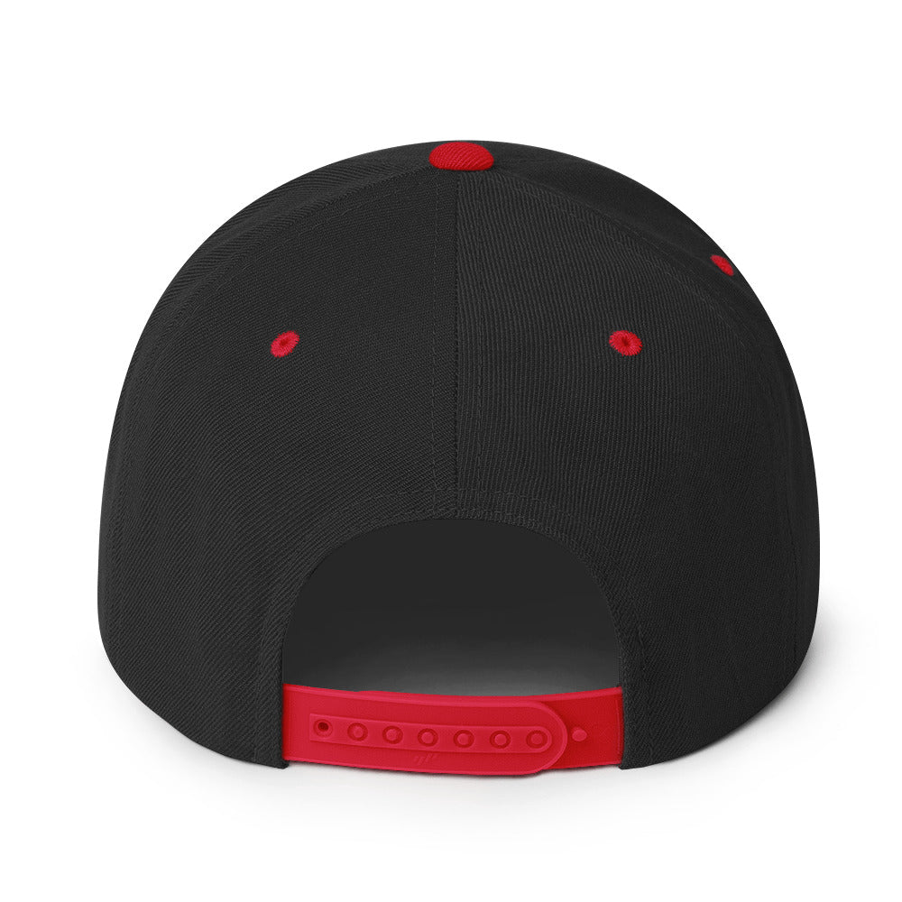 0803z Snapback Cap, Animal - Dolphin, 02