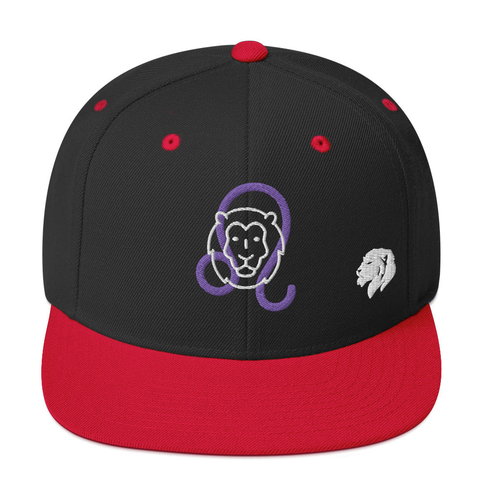 0803z Snapback Cap, Astrology Zodiac - Leo Lion, 02