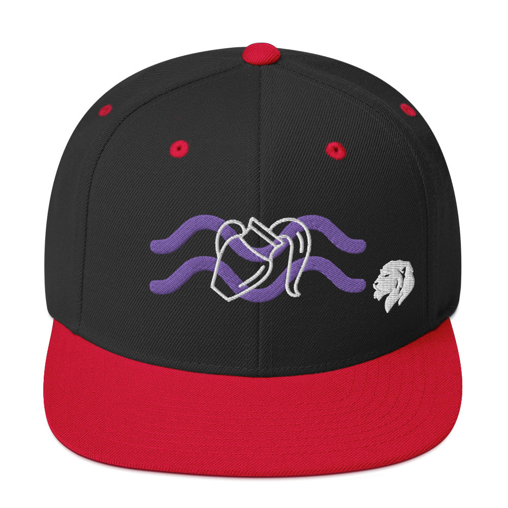 0803z Snapback Cap, Astrology Zodiac - Aquarius, 02