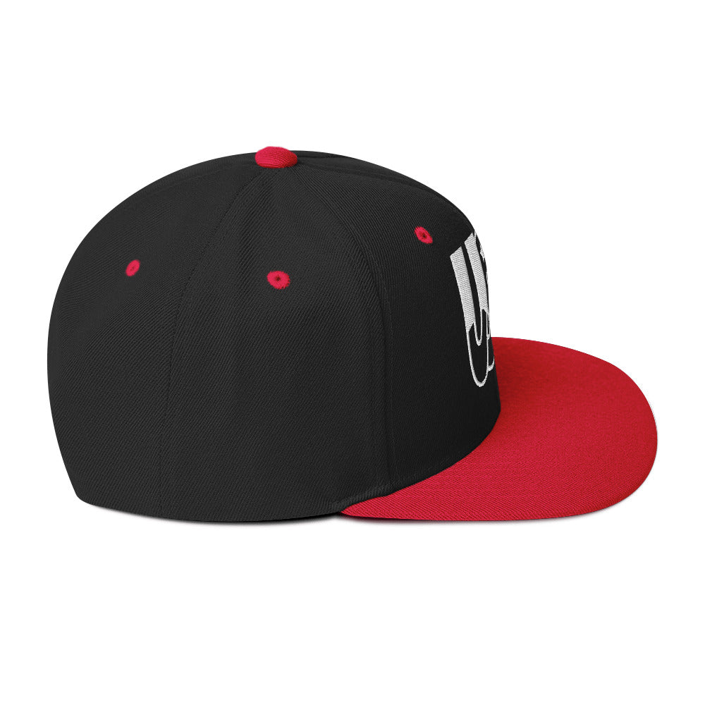 0803z Snapback Cap, USA, 02