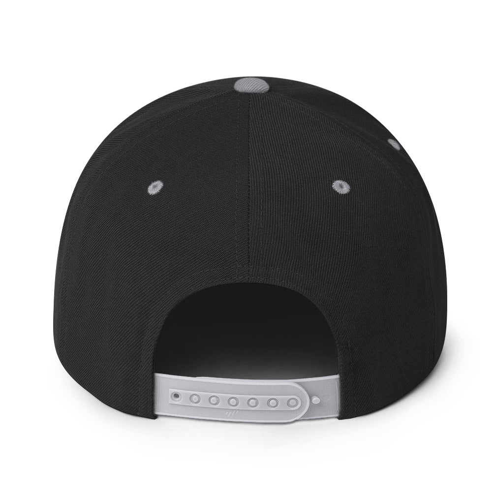 0803z Snapback Cap, Animal - Dolphin, 02