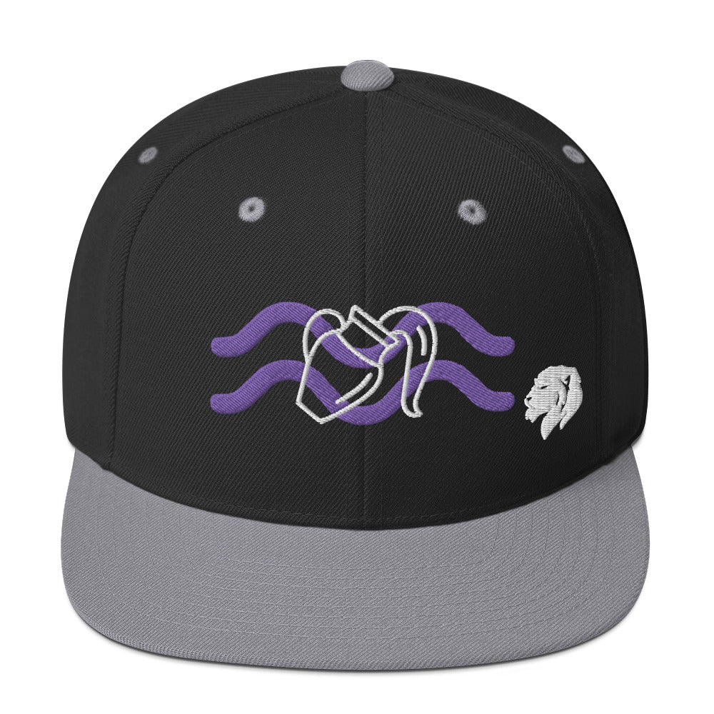 0803z Snapback Cap, Astrology Zodiac - Aquarius, 02