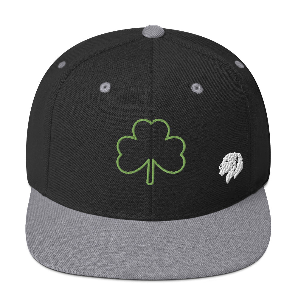 0803z Snapback Cap, Earth - Clover Shamrock Ireland, 02