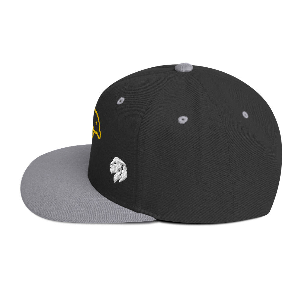 0803z Snapback Cap, Animal - Dolphin, 02