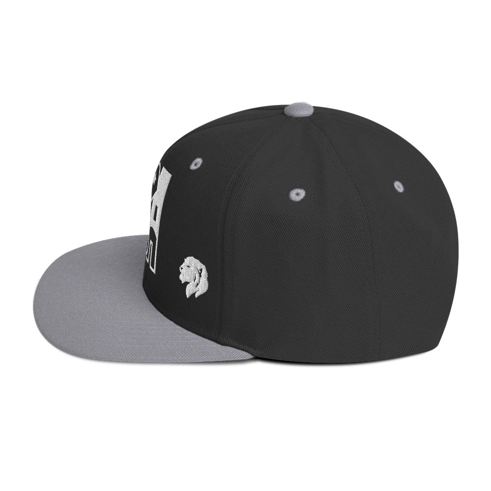 0803z Snapback Cap, USA, 02