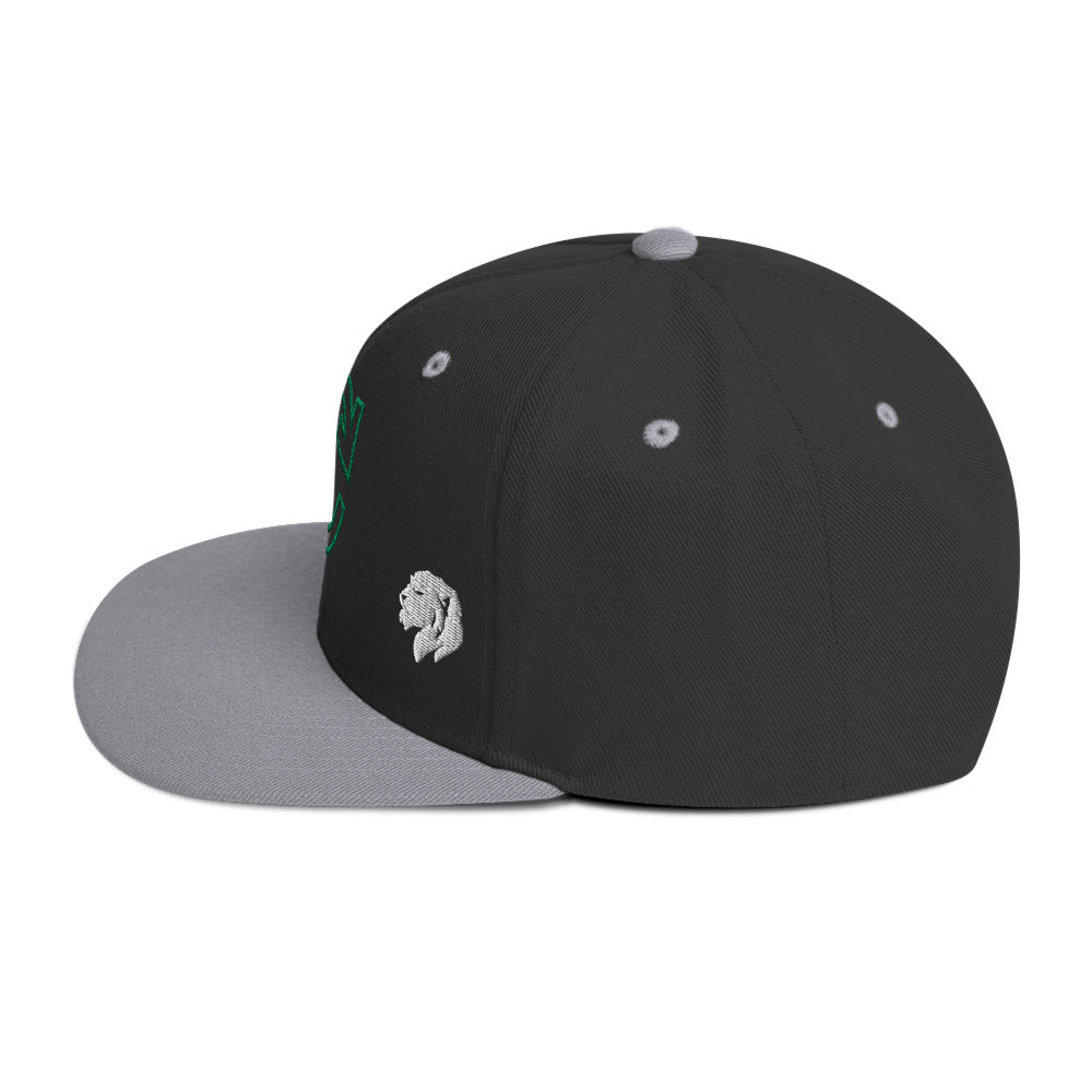 0803z Snapback Cap, Earth - Recycle, 02