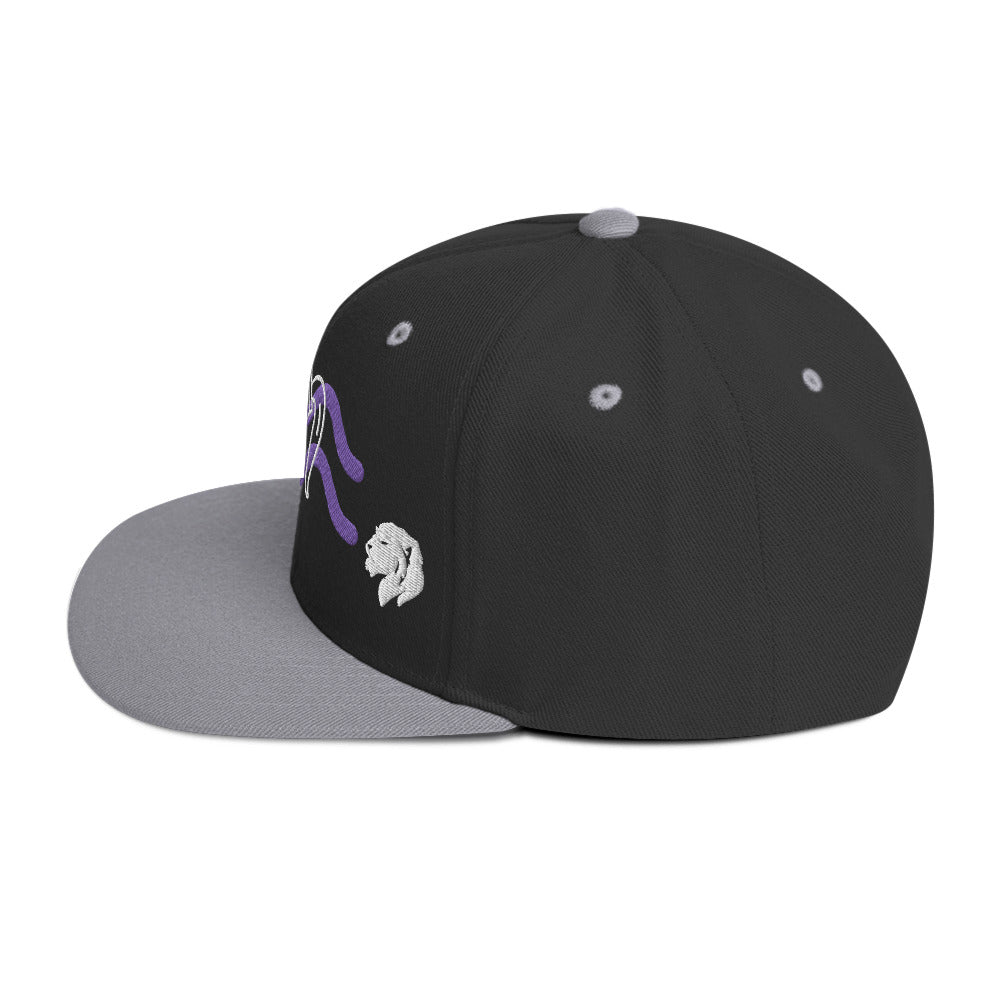 0803z Snapback Cap, Astrology Zodiac - Aquarius, 02