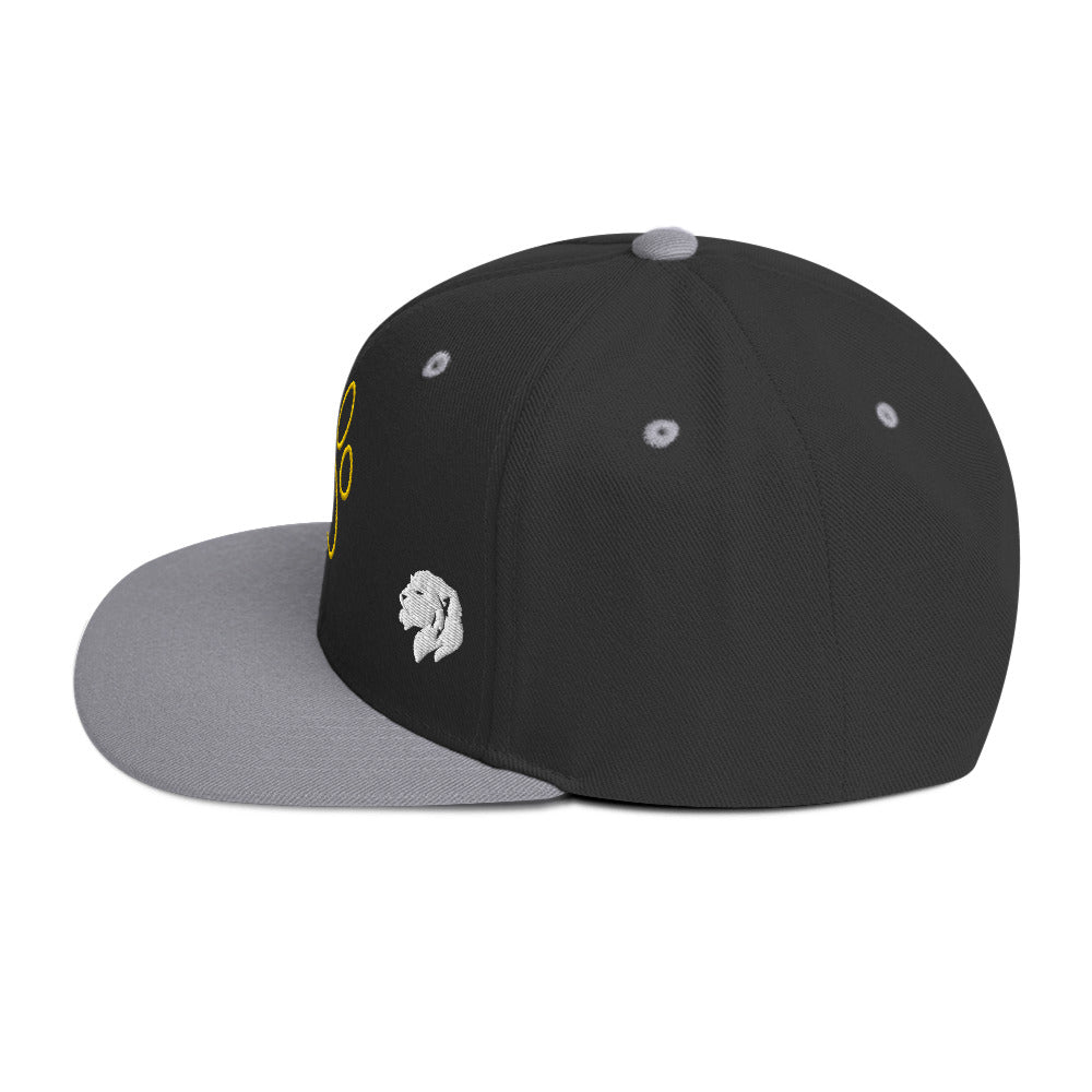 0803z Snapback Cap, Animal - Dog Paw, 02