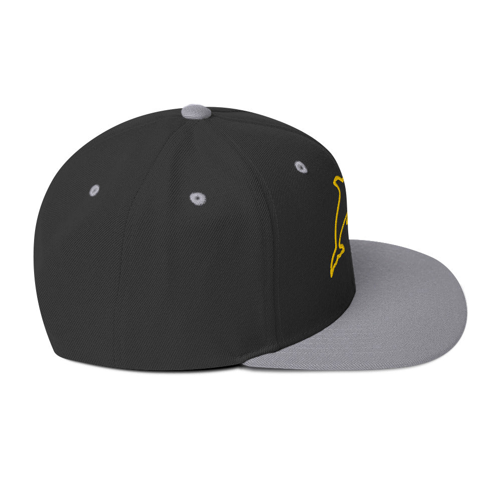 0803z Snapback Cap, Animal - Dolphin, 02