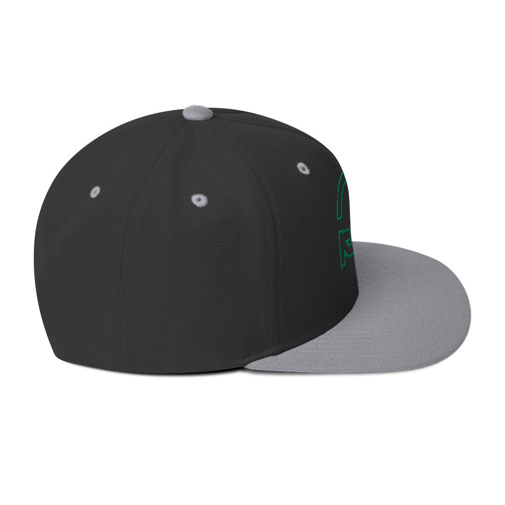 0803z Snapback Cap, Earth - Recycle, 02