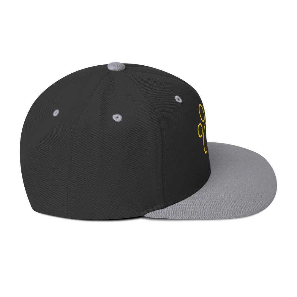 0803z Snapback Cap, Animal - Dog Paw, 02