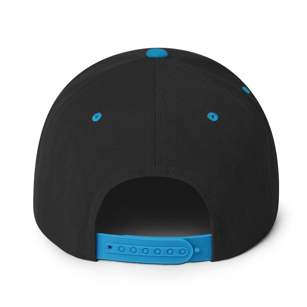 0803z Snapback Cap, Animal - Dolphin, 02