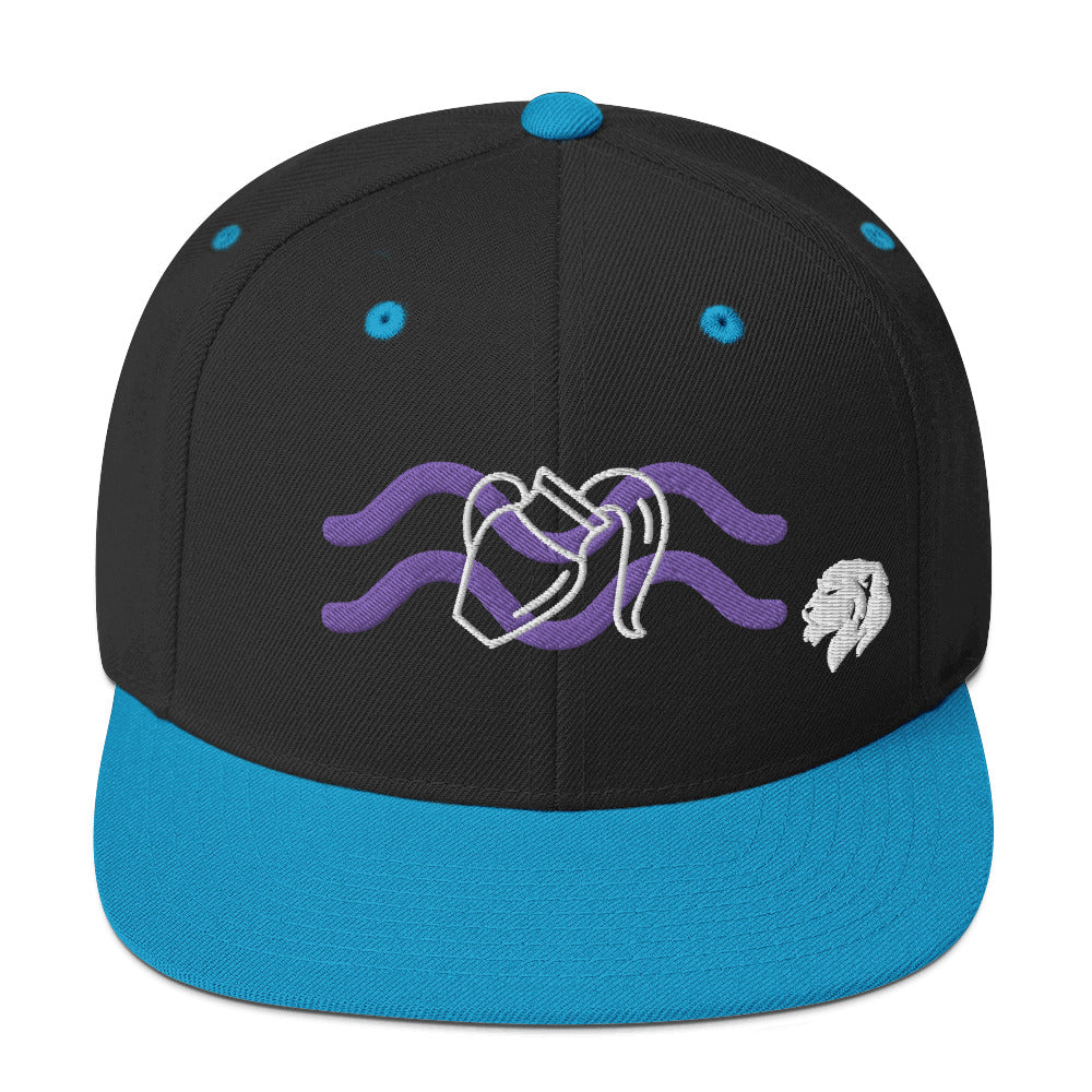 0803z Snapback Cap, Astrology Zodiac - Aquarius, 02