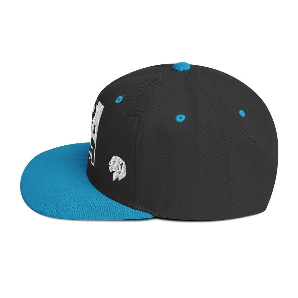 0803z Snapback Cap, USA, 02