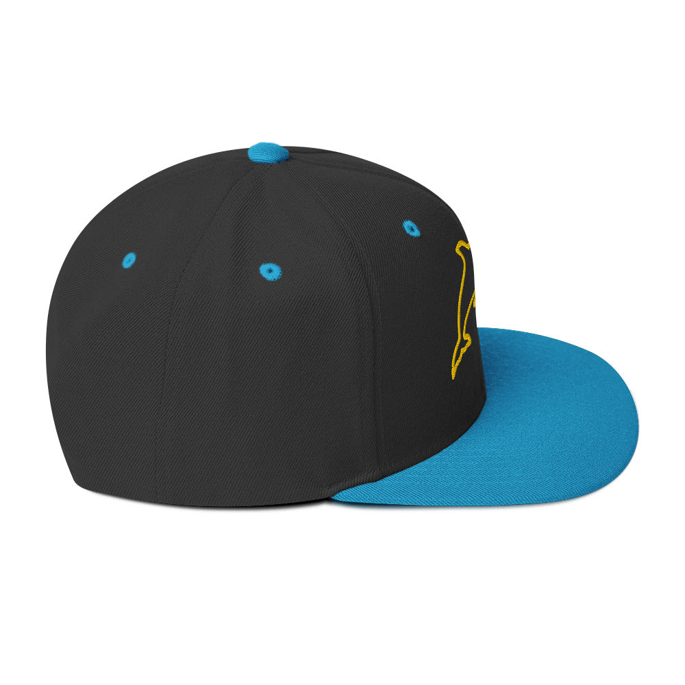 0803z Snapback Cap, Animal - Dolphin, 02