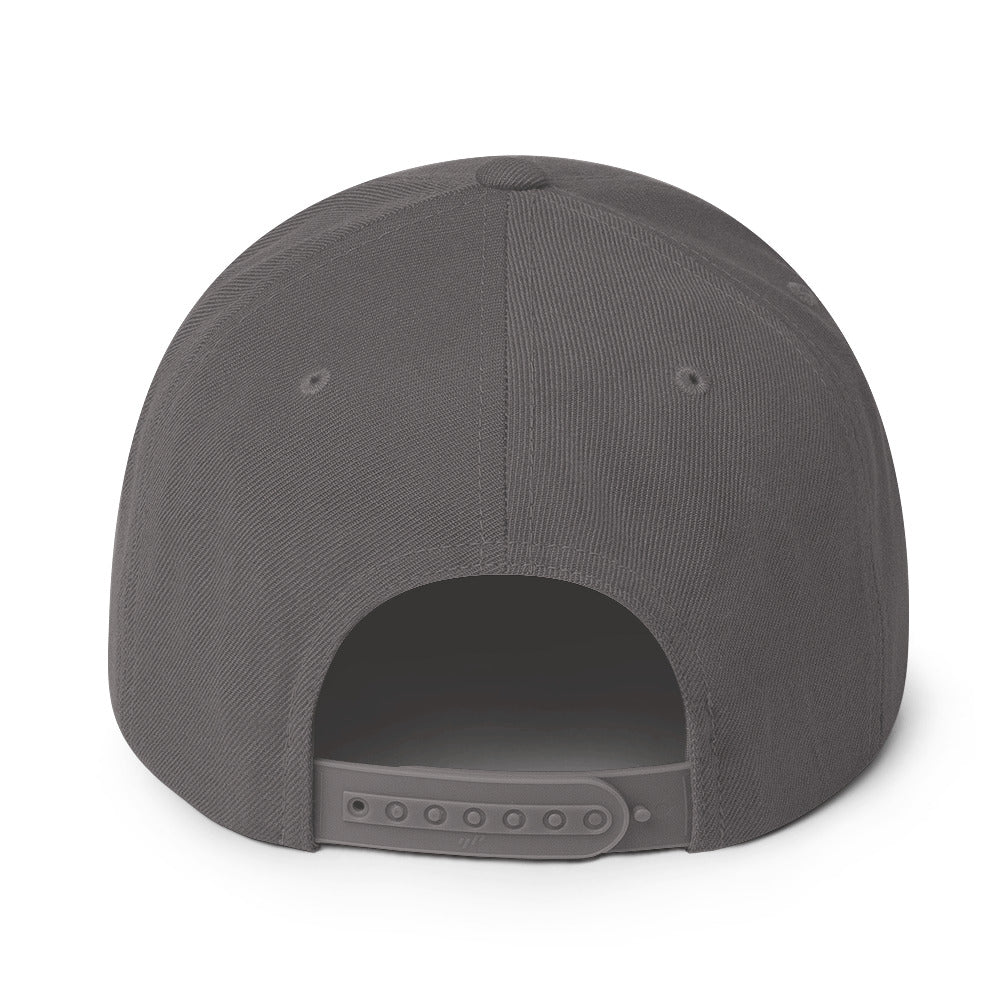 0803z Snapback Cap, Animal - Dolphin, 02