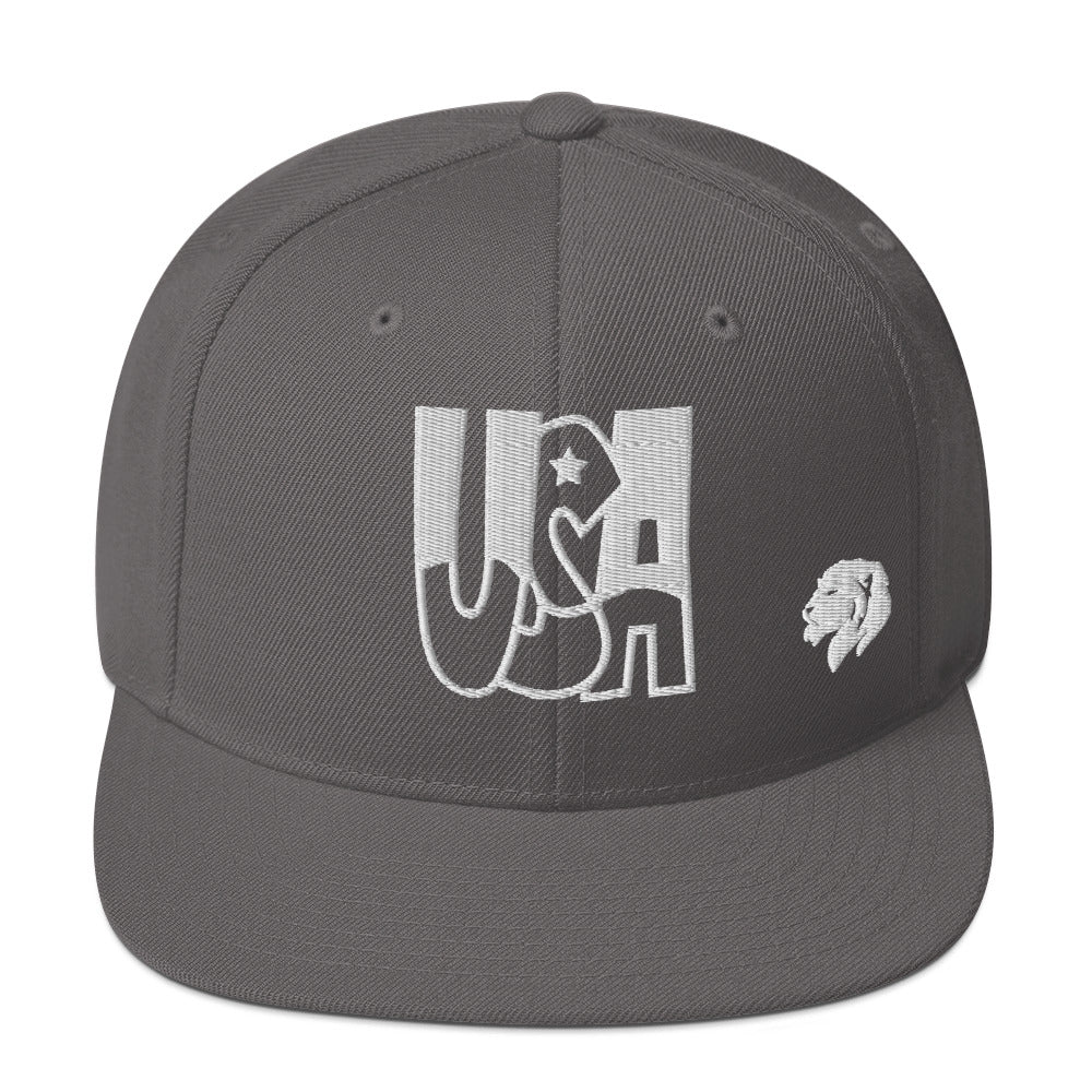 0803z Snapback Cap, USA, 02