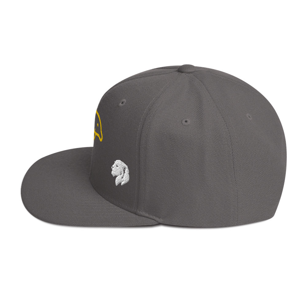 0803z Snapback Cap, Animal - Dolphin, 02