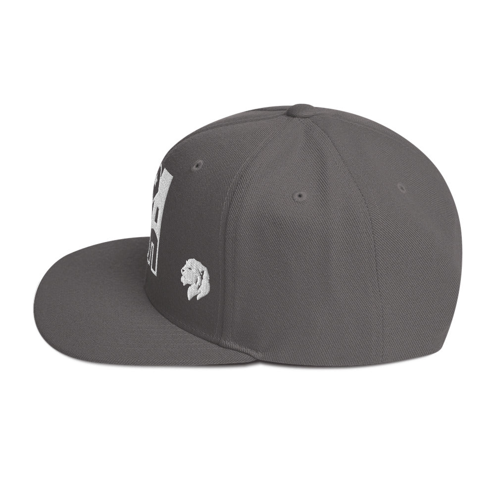 0803z Snapback Cap, USA, 02