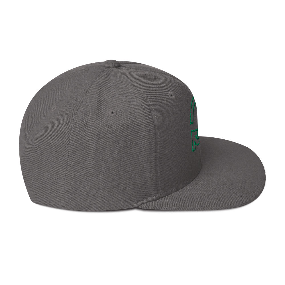 0803z Snapback Cap, Earth - Recycle, 02