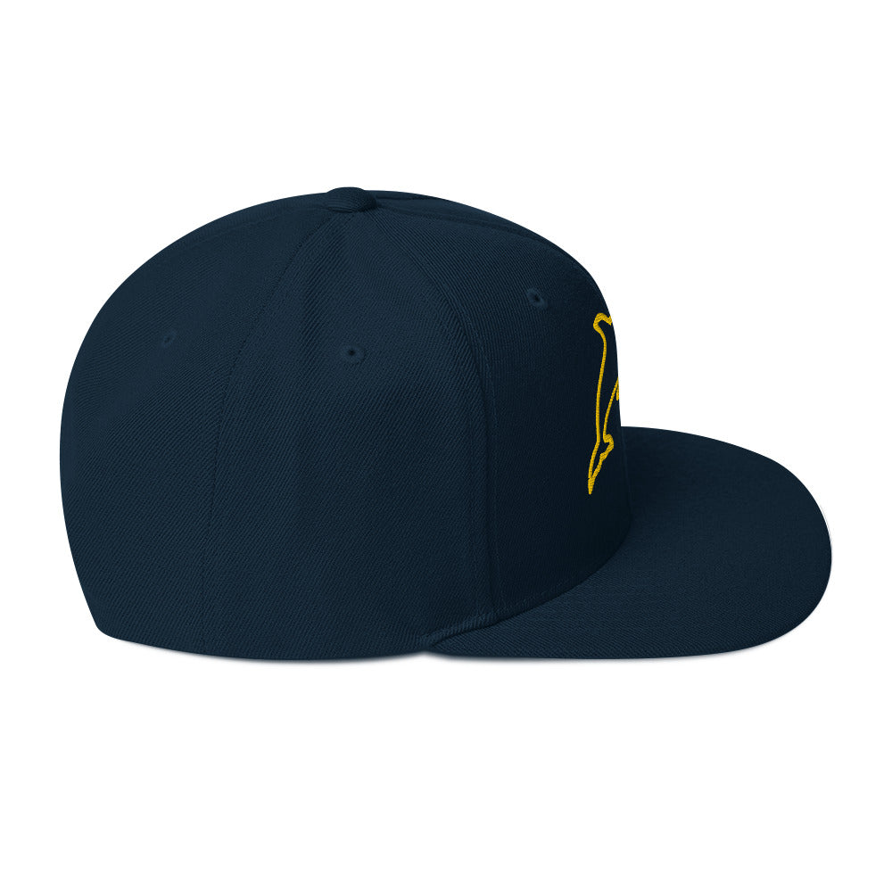 0803z Snapback Cap, Animal - Dolphin, 02