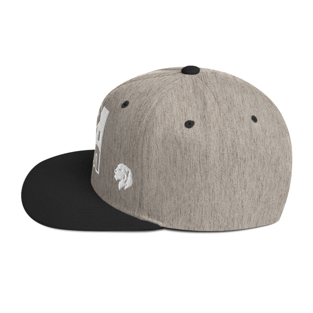 0803z Snapback Cap, USA, 02