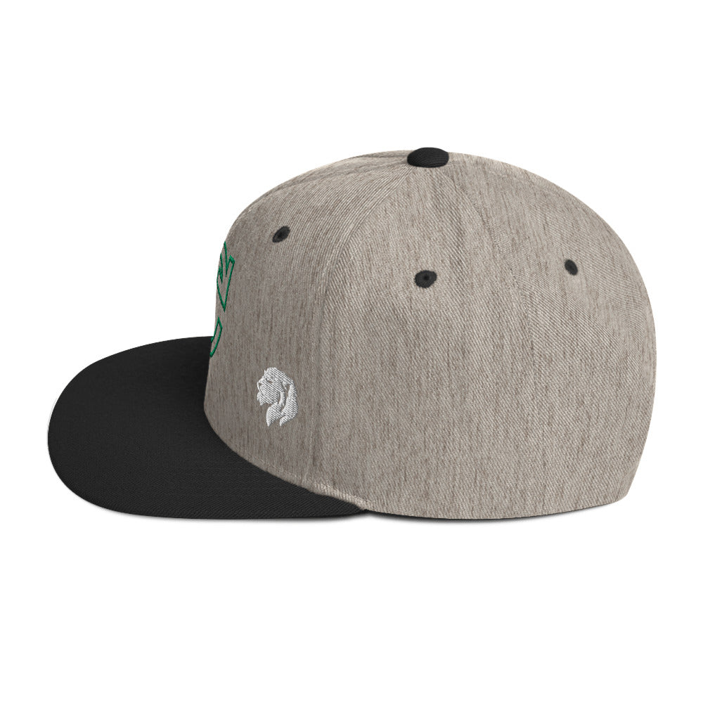 0803z Snapback Cap, Earth - Recycle, 02