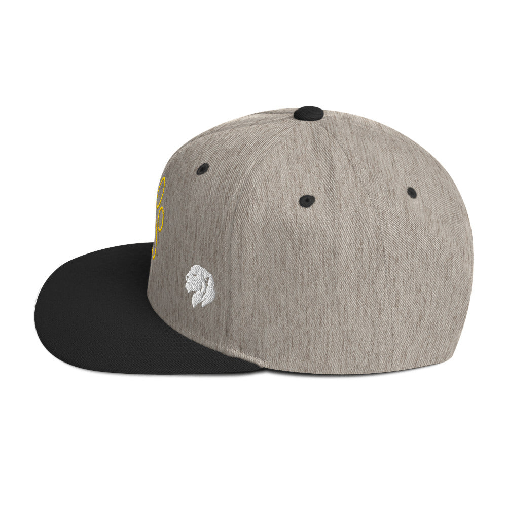 0803z Snapback Cap, Animal - Dog Paw, 02