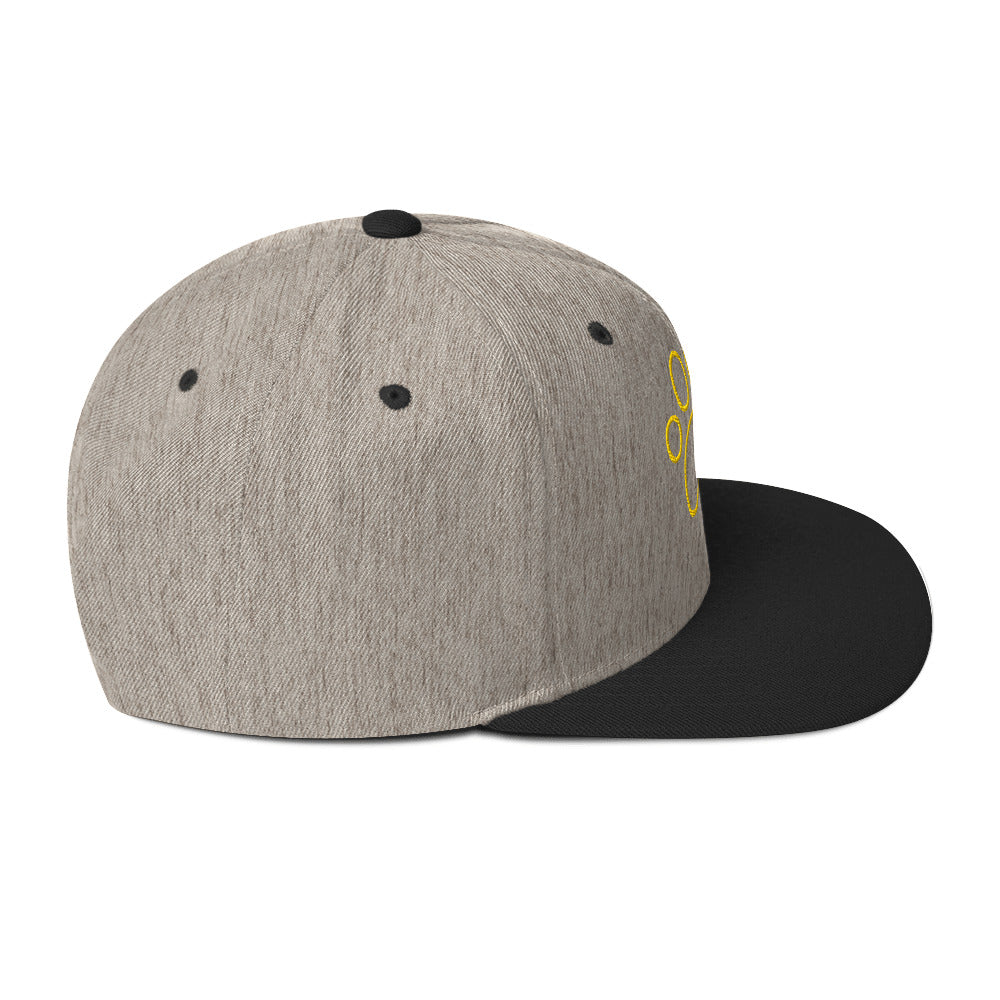 0803z Snapback Cap, Animal - Dog Paw, 02