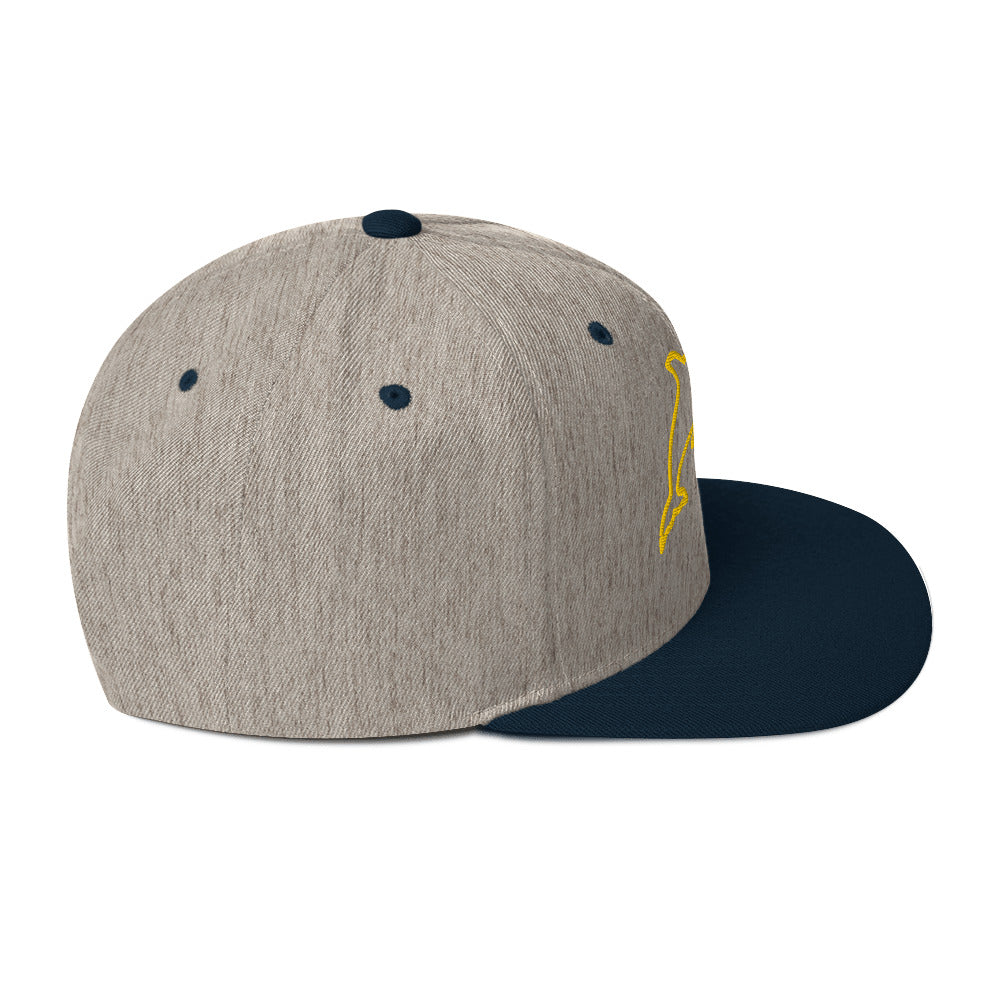 0803z Snapback Cap, Animal - Dolphin, 02