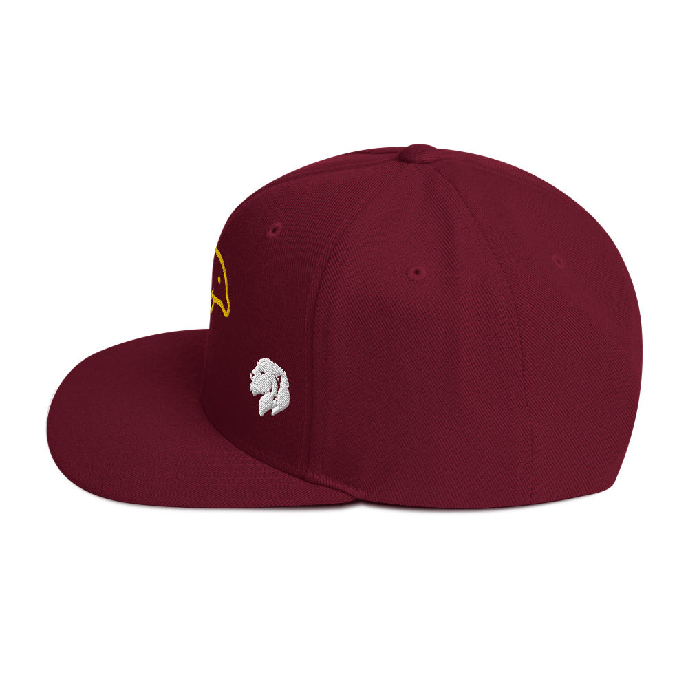 0803z Snapback Cap, Animal - Dolphin, 02