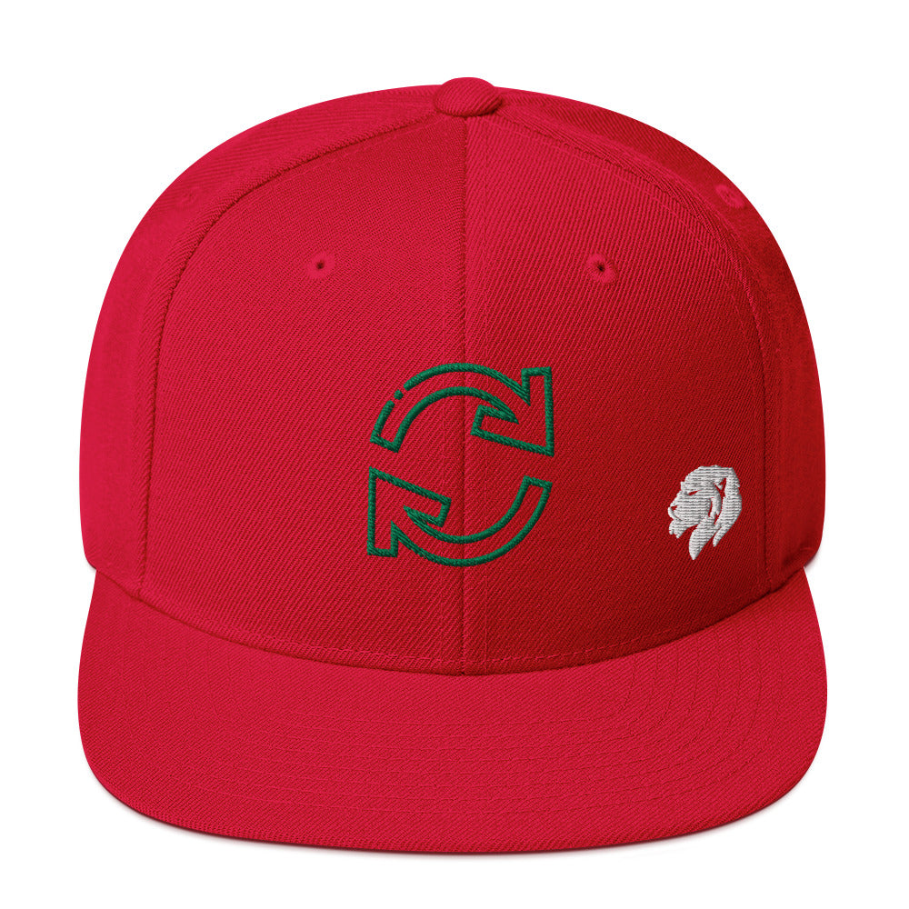 0803z Snapback Cap, Earth - Recycle, 02