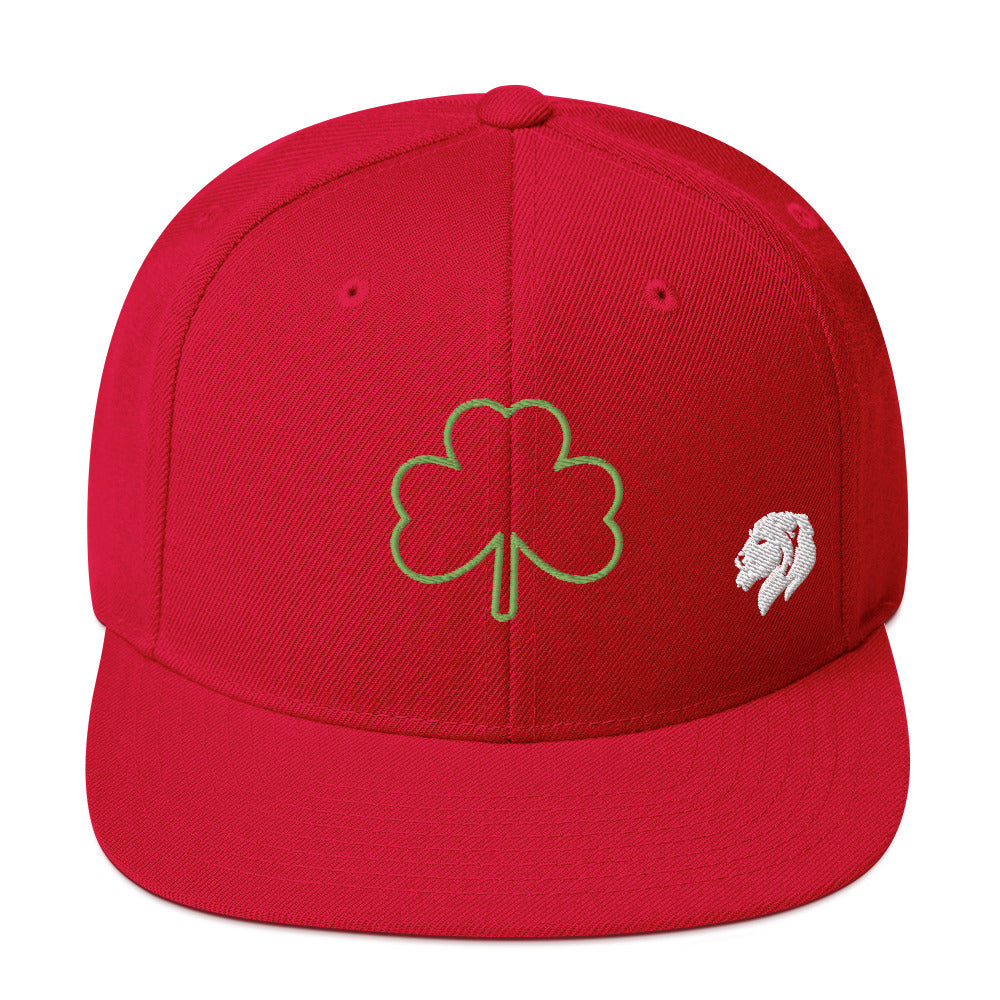 0803z Snapback Cap, Earth - Clover Shamrock Ireland, 02