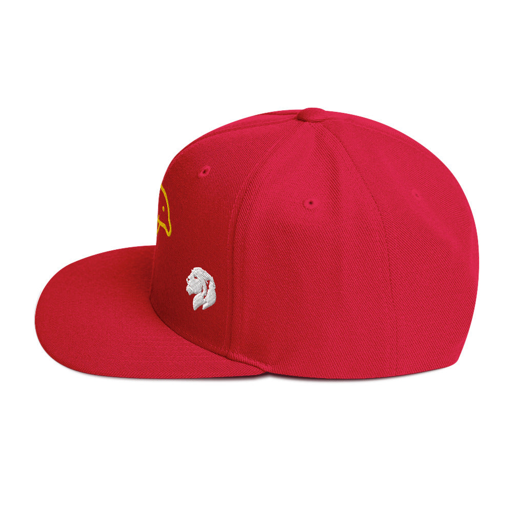 0803z Snapback Cap, Animal - Dolphin, 02