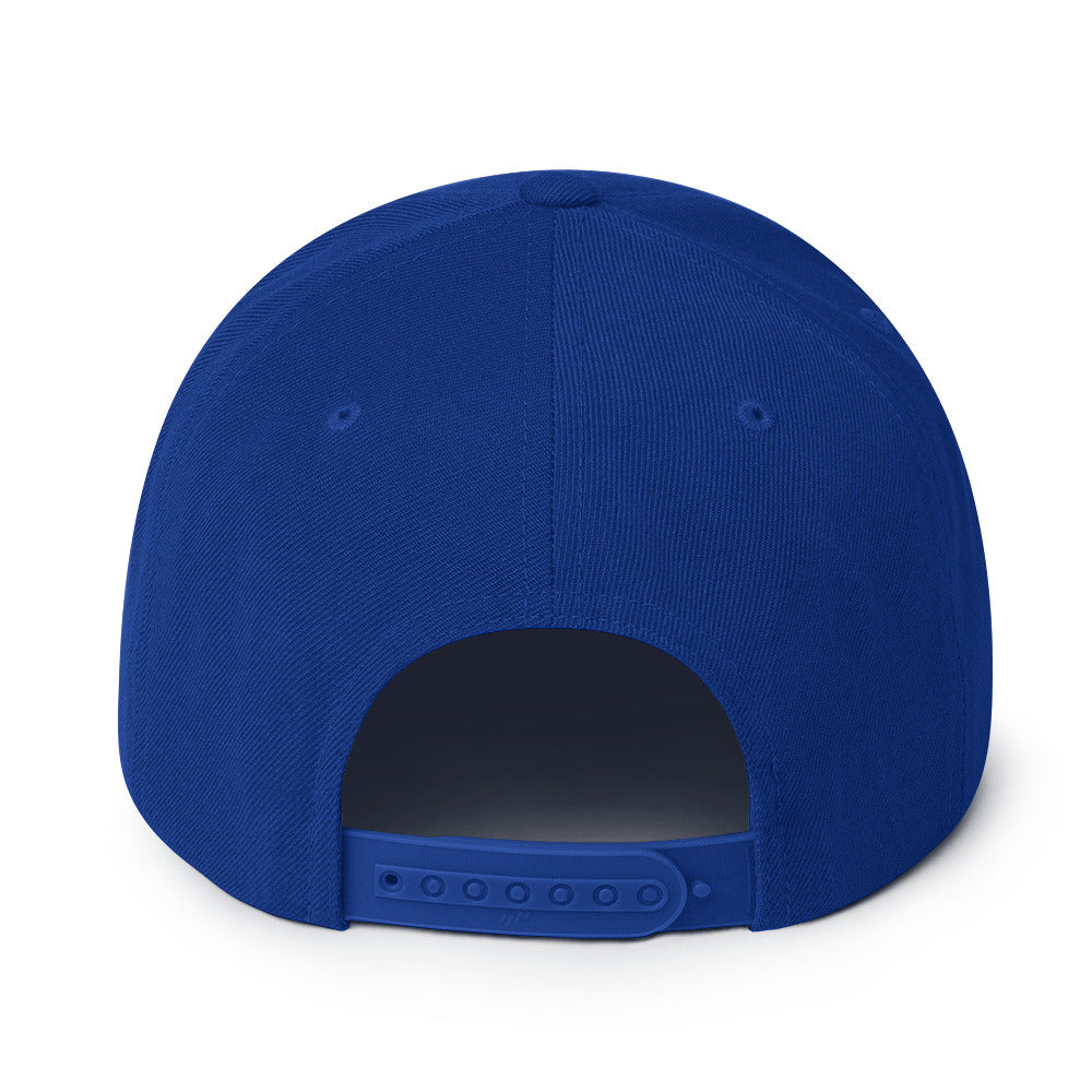 0803z Snapback Cap, Earth - Recycle, 02