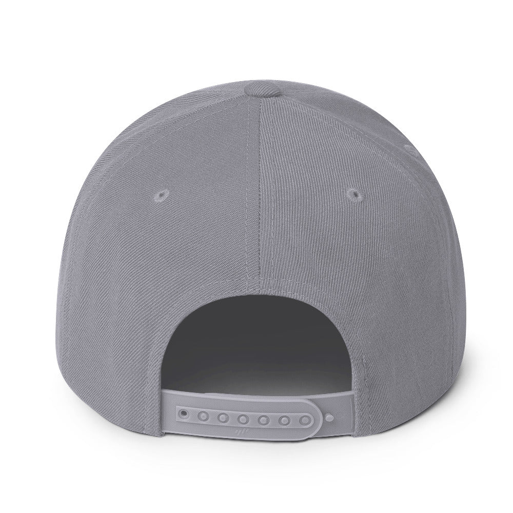 0803z Snapback Cap, Animal - Dolphin, 02