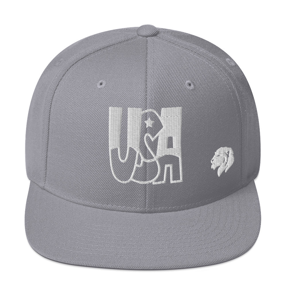 0803z Snapback Cap, USA, 02