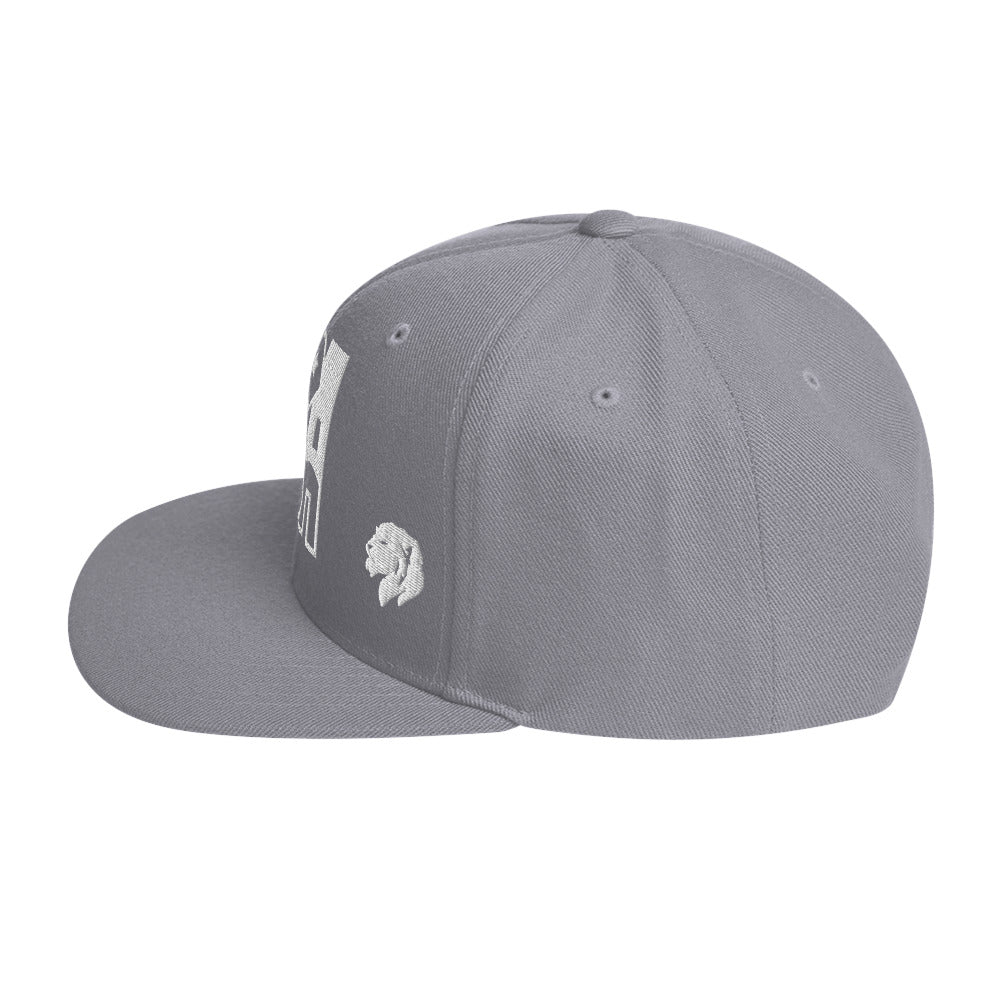 0803z Snapback Cap, USA, 02