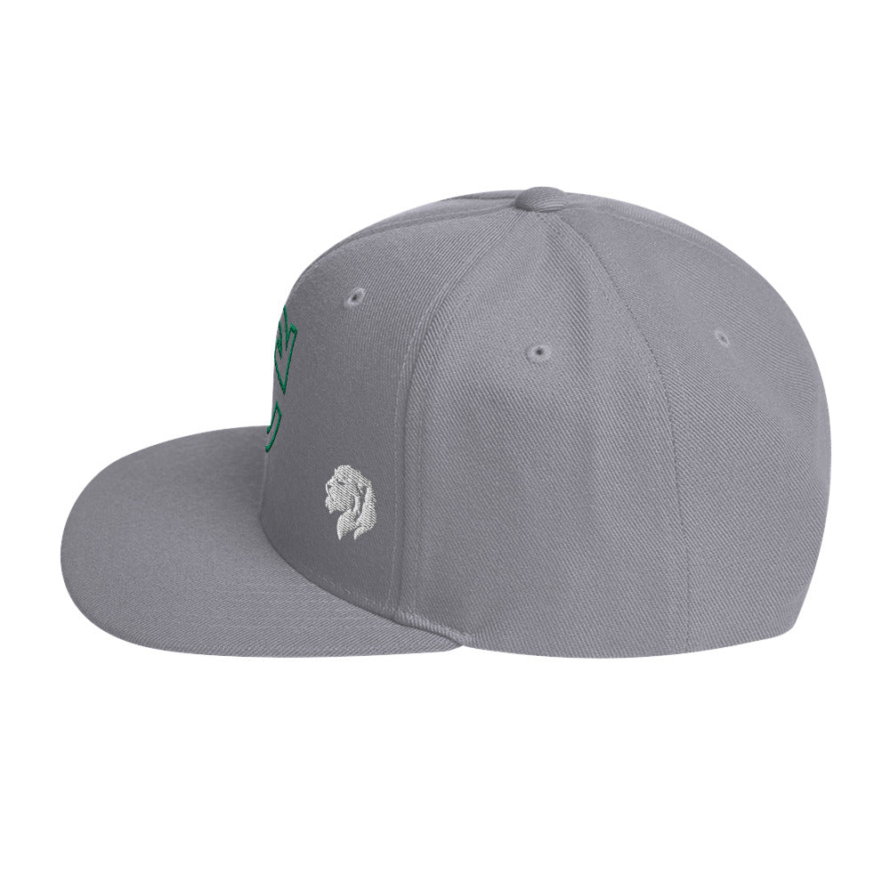 0803z Snapback Cap, Earth - Recycle, 02