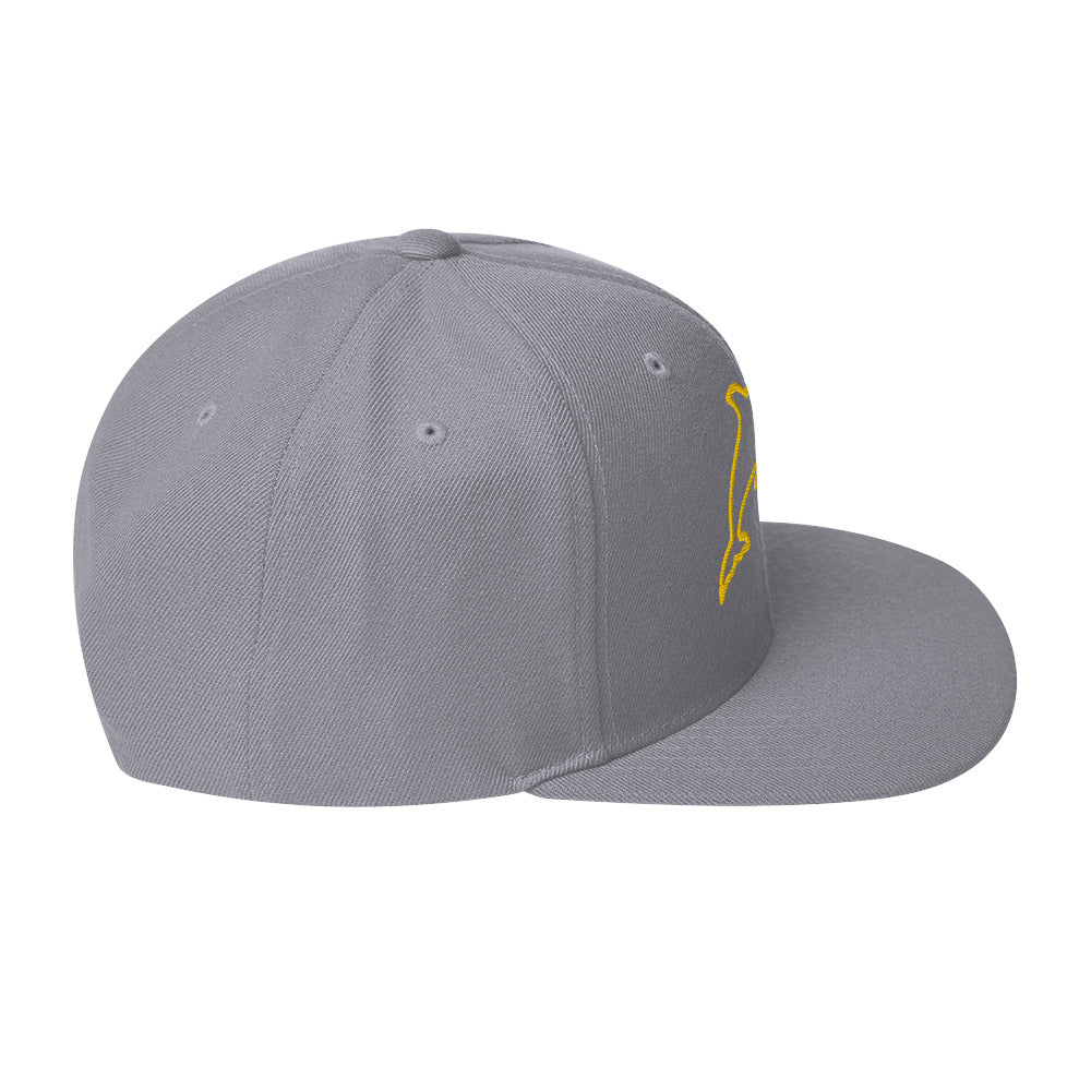 0803z Snapback Cap, Animal - Dolphin, 02