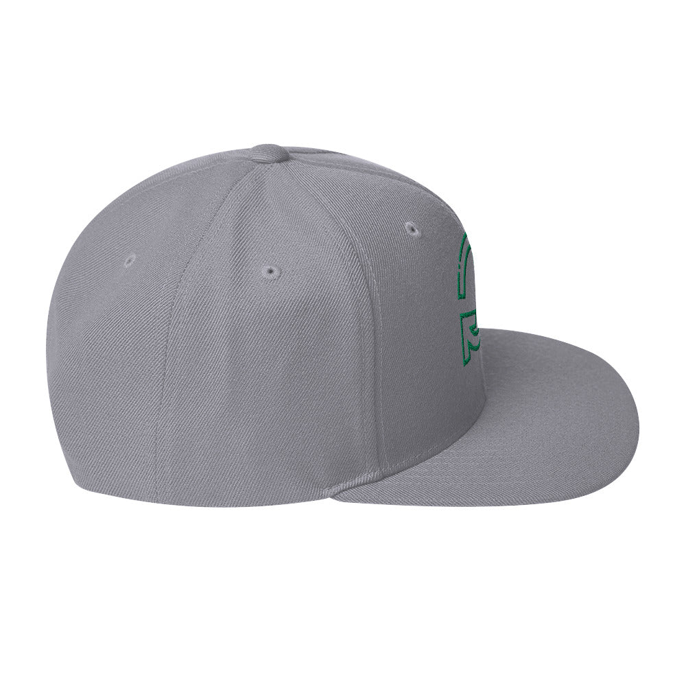 0803z Snapback Cap, Earth - Recycle, 02