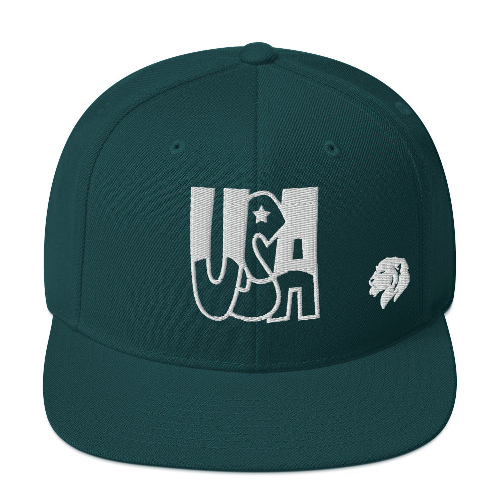 0803z Snapback Cap, USA, 02