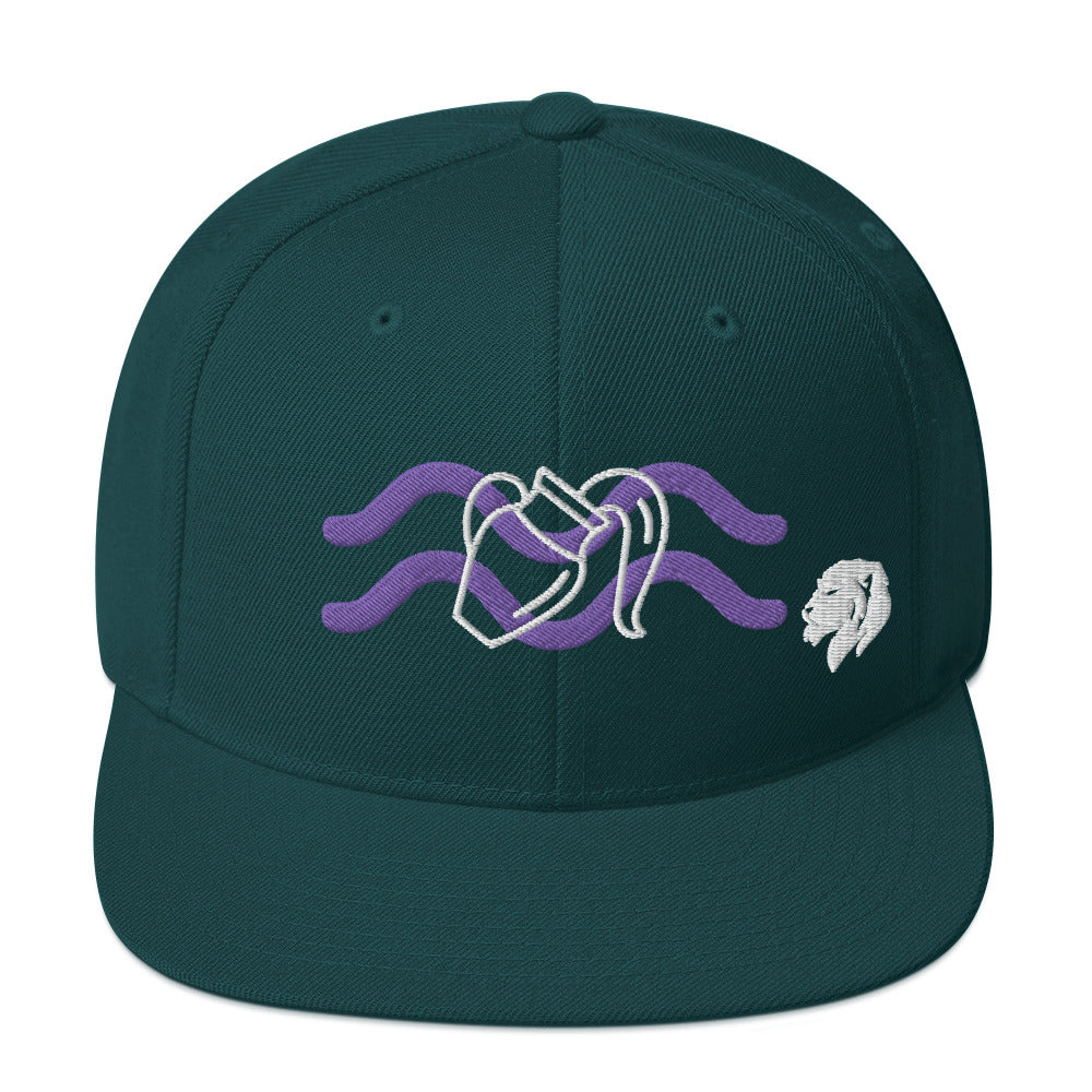 0803z Snapback Cap, Astrology Zodiac - Aquarius, 02